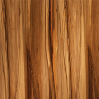 American Red Gum