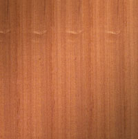 Quartered African Mahogany